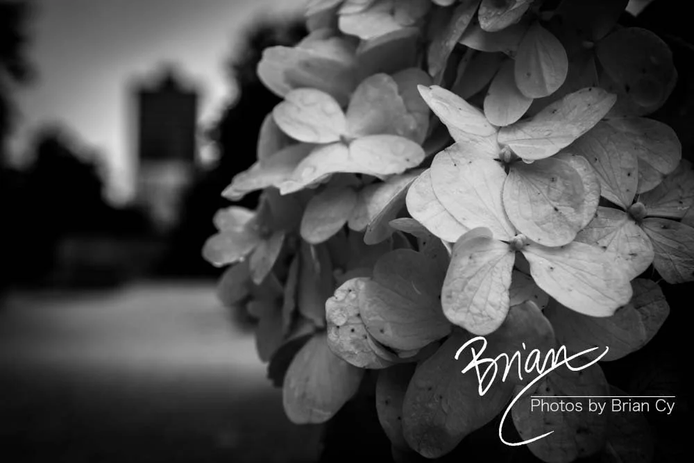 LoRes_WM_20181108_Baton_Rouge_Edit-0277.jpg