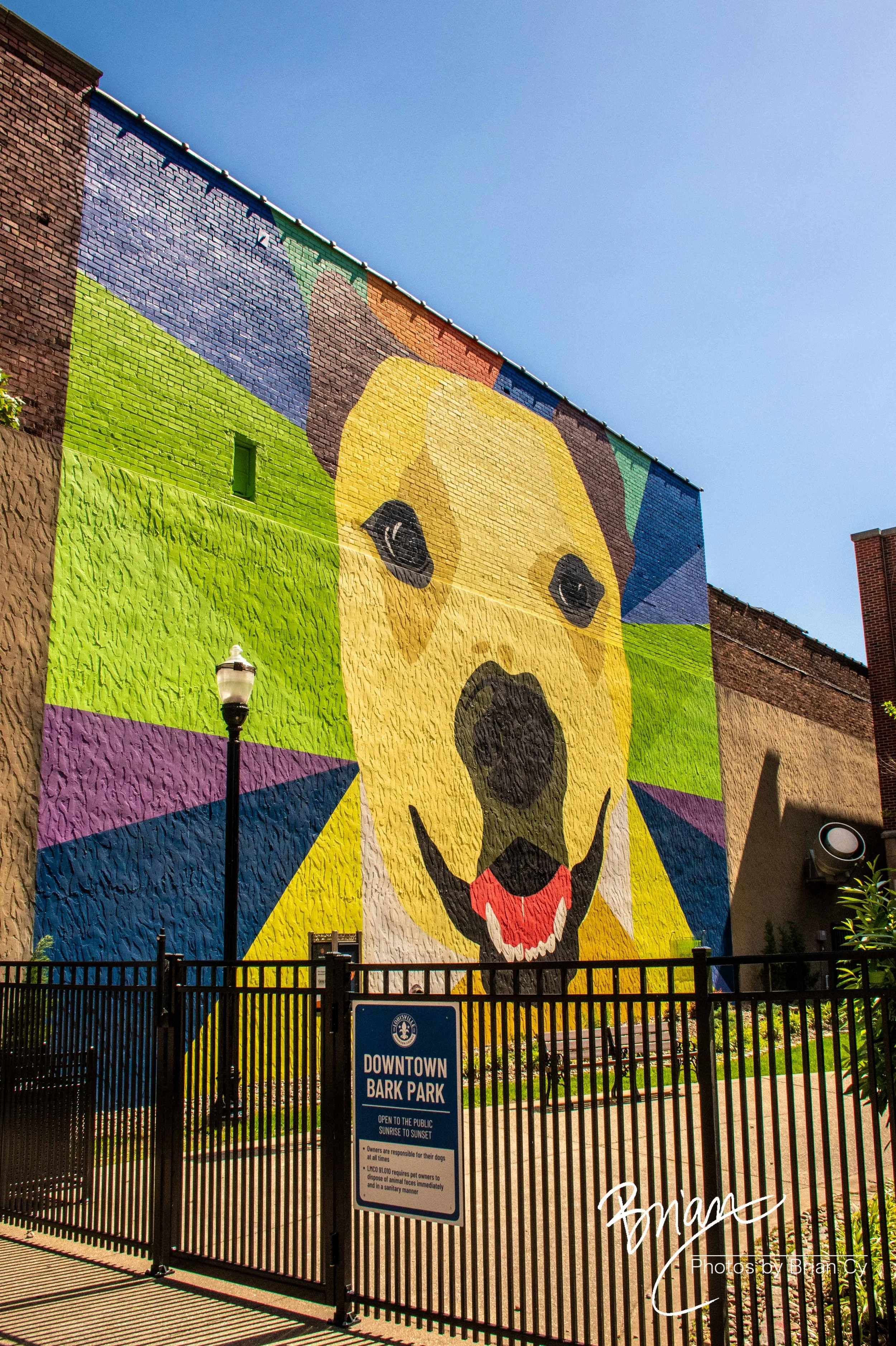 LoRes_WM_20250517_Louisville_Edit-1589.jpg