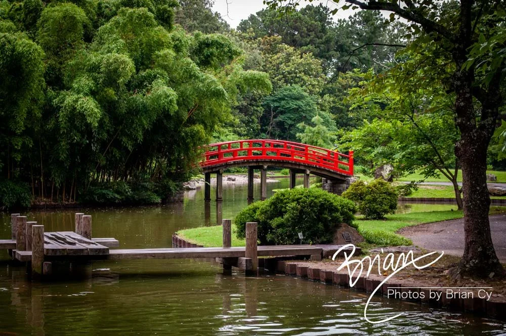 LoRes_WM_20180620_Memphis_Botanical_Gardens_Edit-0028.jpg