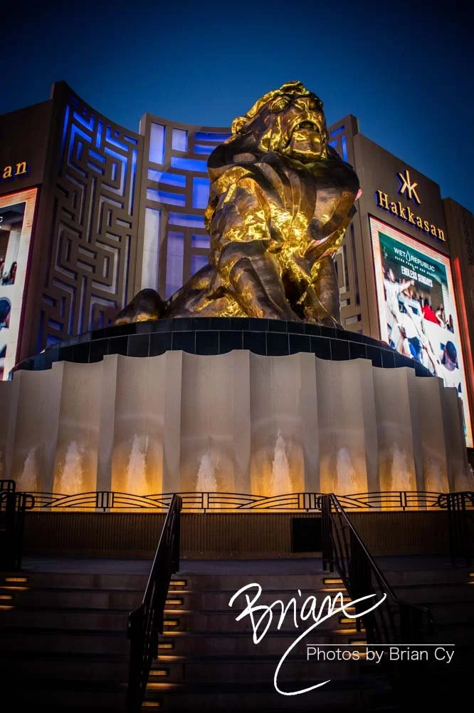 LoRes_WM_20190424_LasVegas_Edit-0221.jpg