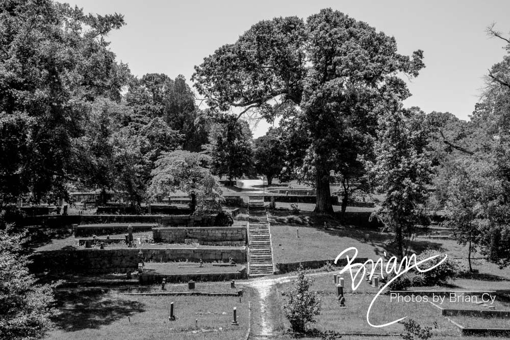 LoRes_WM_20190528_Decatur_Edit-2646.jpg