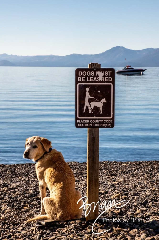 LoRes_WM_20201014_Tahoe_Edit-0538.jpg