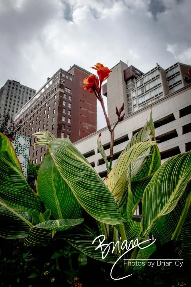 LoRes_WM_20190622_Memphis_Edit-2888.jpg