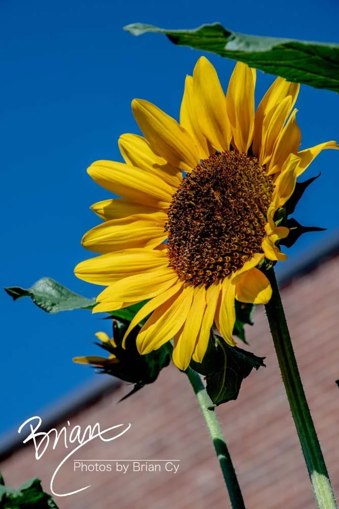 LoRes_WM_20190529_Augusta_Edit-3742.jpg