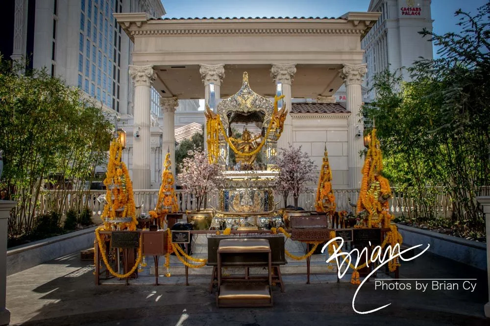 LoRes_WM_20190424_LasVegas_Edit-9246.jpg