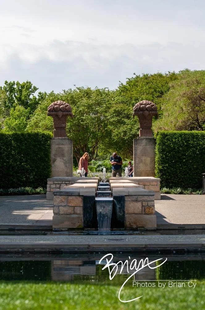 LoRes_WM_20160408_Dallas_Edit-0024.jpg