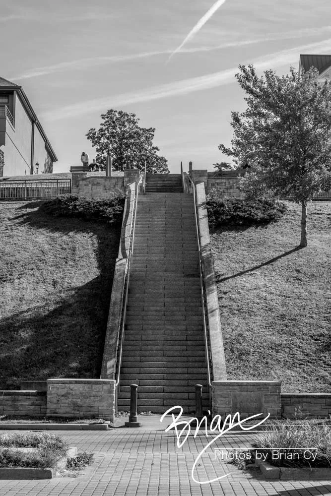 LoRes_WM_20181117_Memphis_Edit-0115.jpg