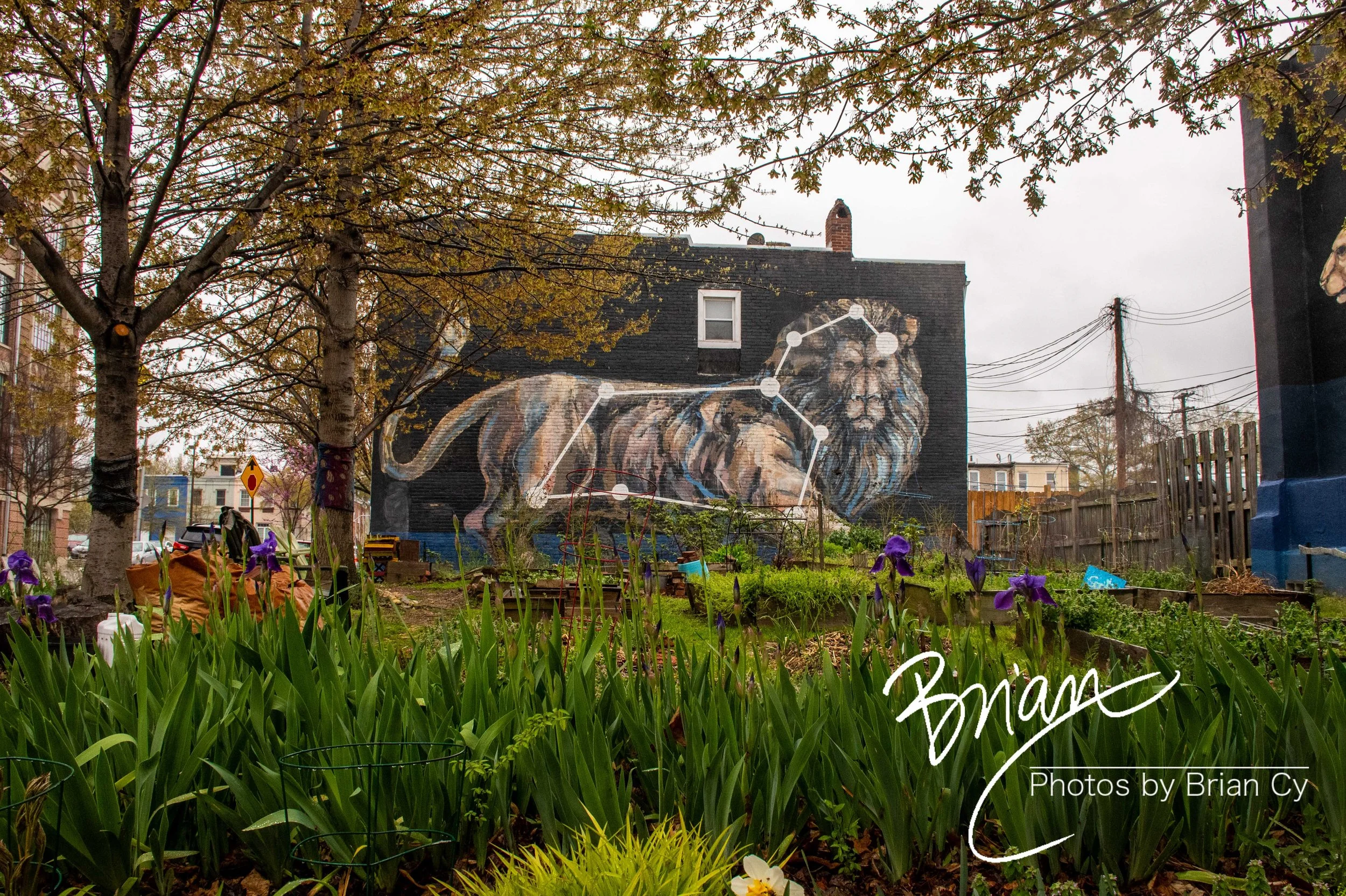 LoRes_WM_20210409_Baltimore_Edit-6969.jpg