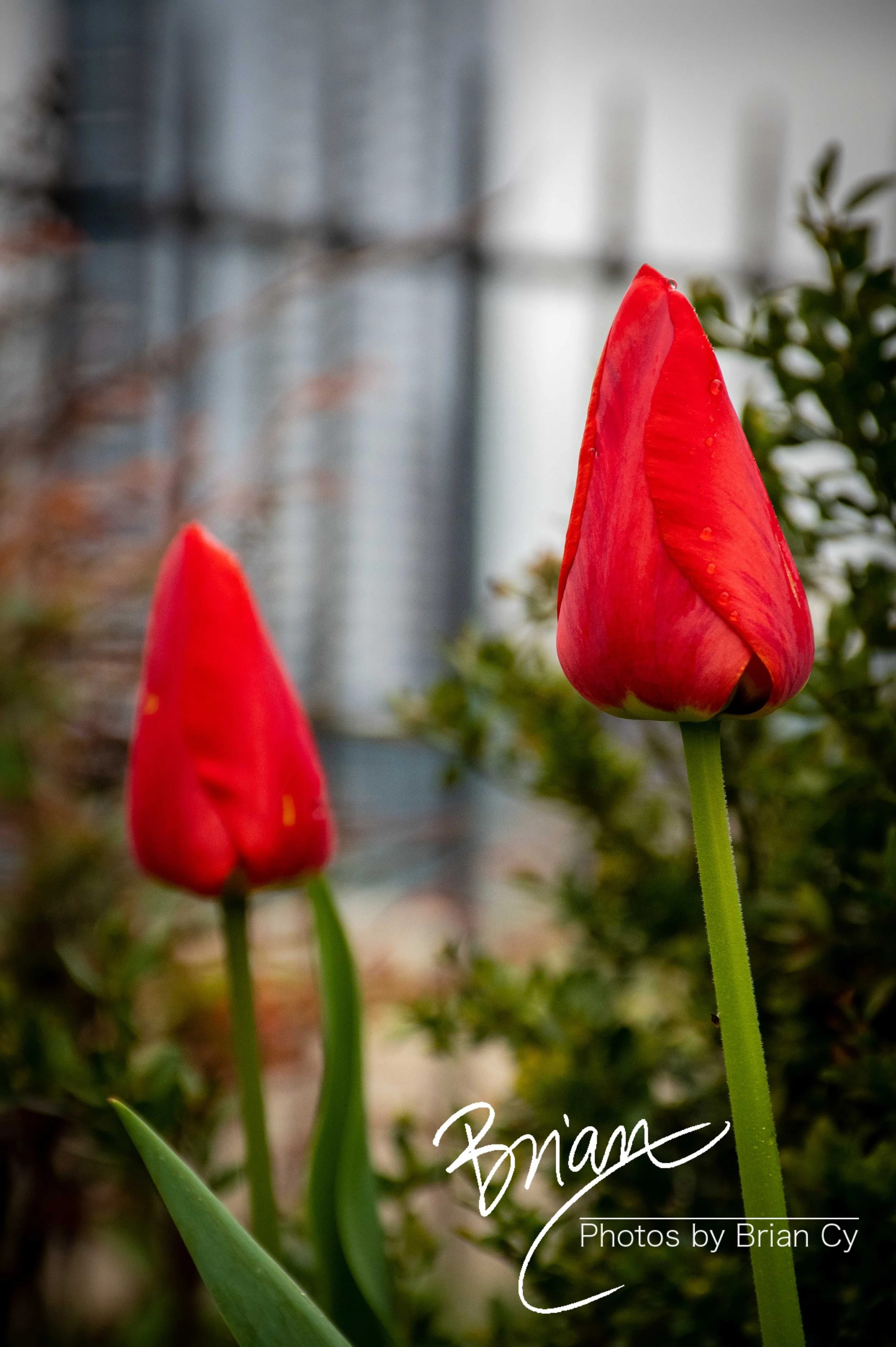 LoRes_WM_20210409_Baltimore_Edit-6565.jpg