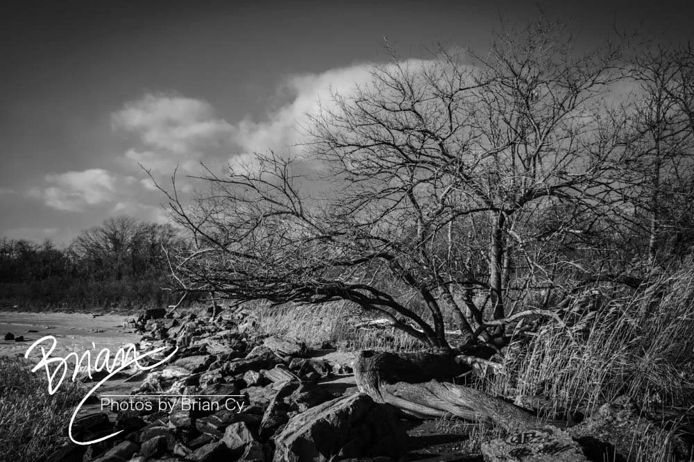 LoRes_WM_20221224_Brooklyn_Edit-8949.jpg