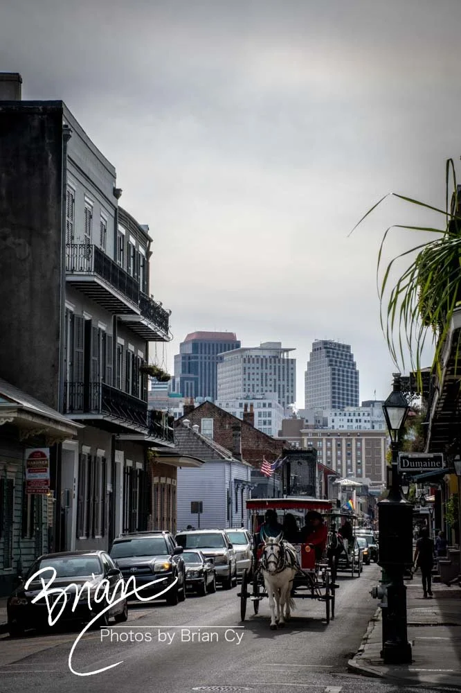 LoRes_WM_20191105_NewOrleans_Edit-7967.jpg