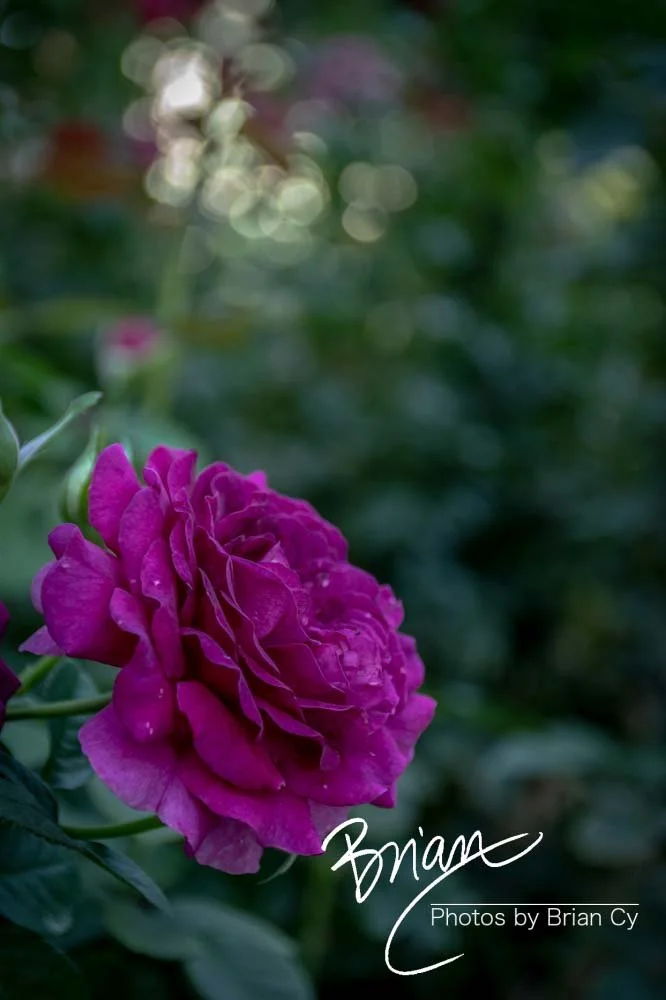 LoRes_WM_20190921_Atlanta_Edit-9745.jpg