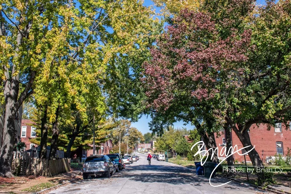 LoRes_WM_20241019_StLouis_Edit-2303.jpg