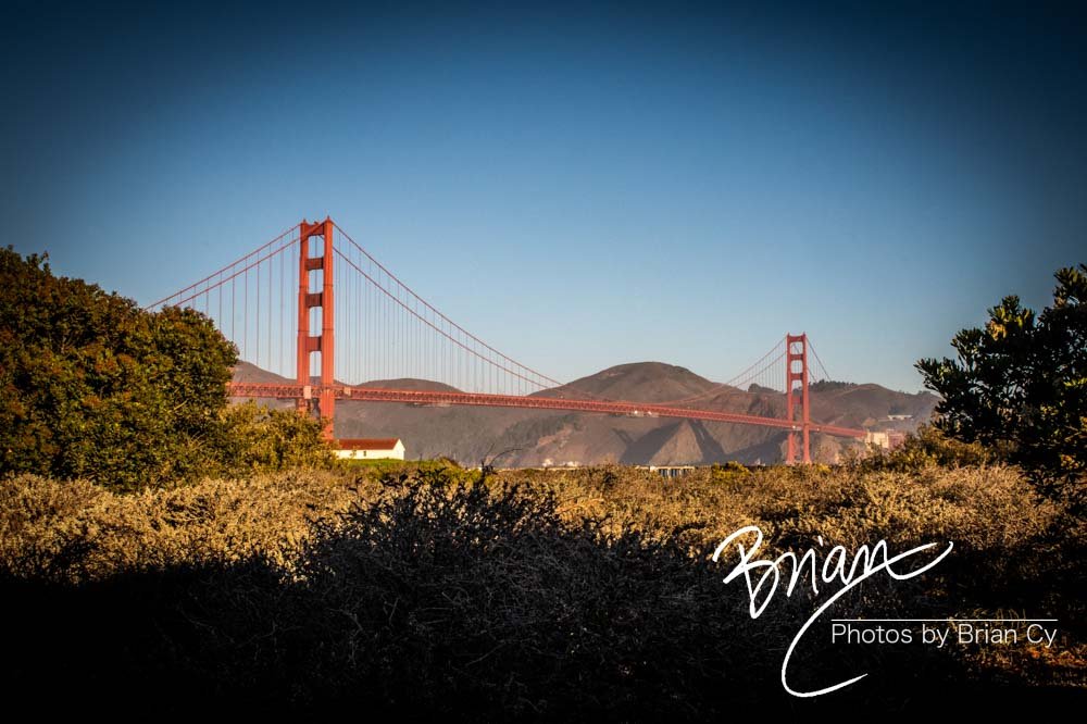 LoRes_WM_20201021_SanFrancisco_Edit-1635.jpg