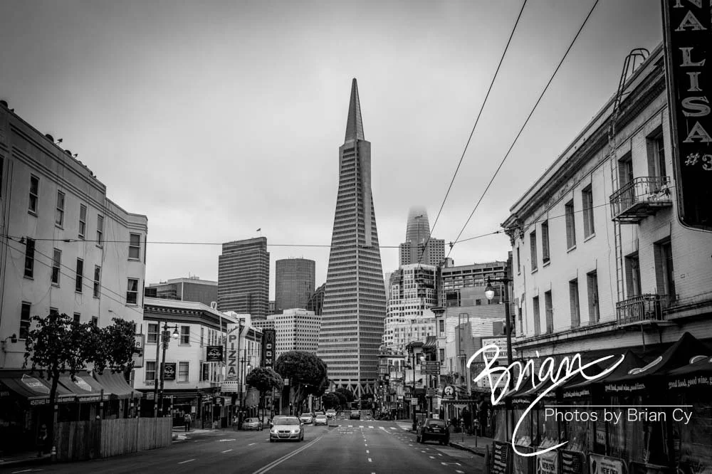 LoRes_WM_20200723_SanFrancisco_Edit-6976.jpg