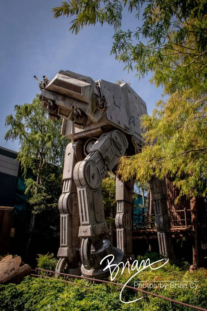 LoRes_WM_20230702_TheFam_Disney_Edit-5198.jpg