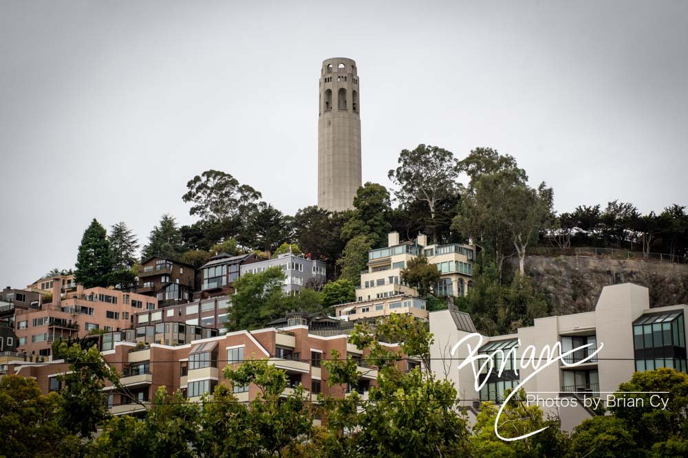 LoRes_WM_20200723_SanFrancisco_Edit-7720.jpg