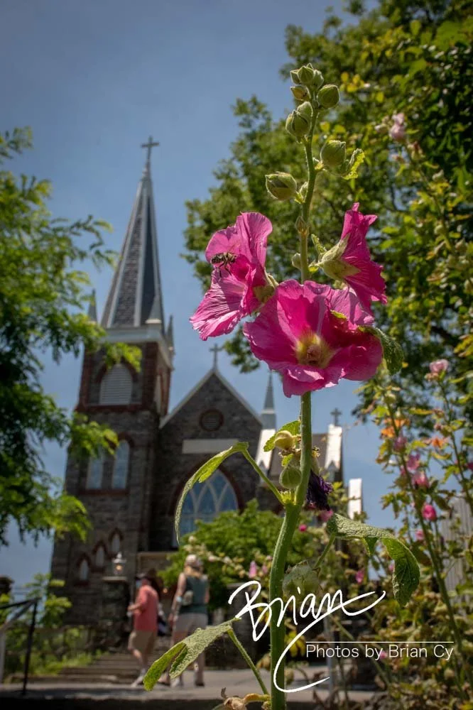 LoRes_WM_20210618_HarpersFerry_Edit-1084.jpg
