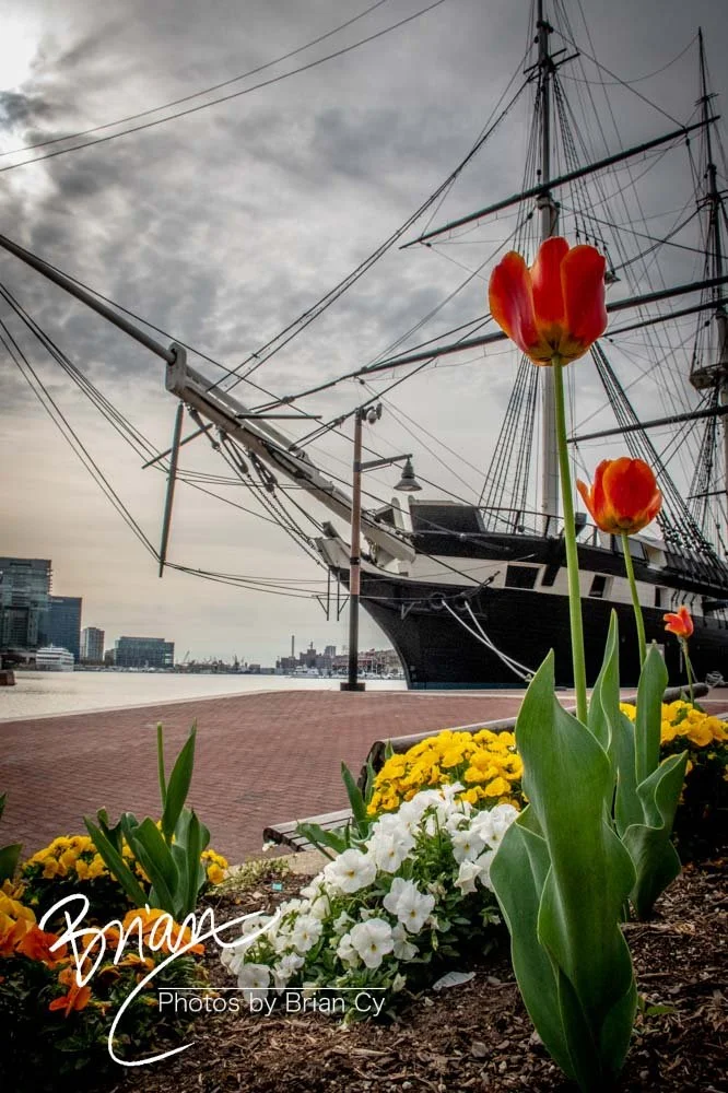 LoRes_WM_20220416_Baltimore_Edit-3824.jpg