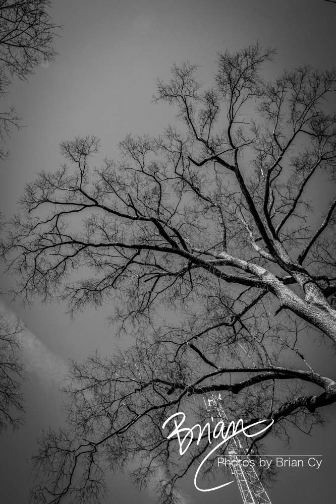 LoRes_WM_20190316_Memphis_Edit-6006.jpg