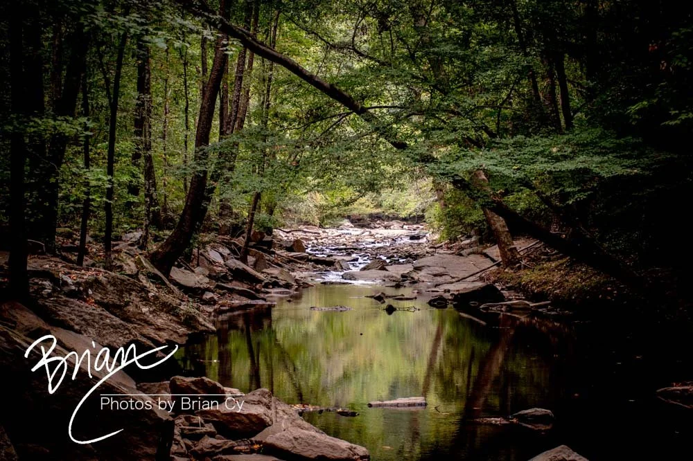 Adventures on Rottenwood Creek (October 2019)