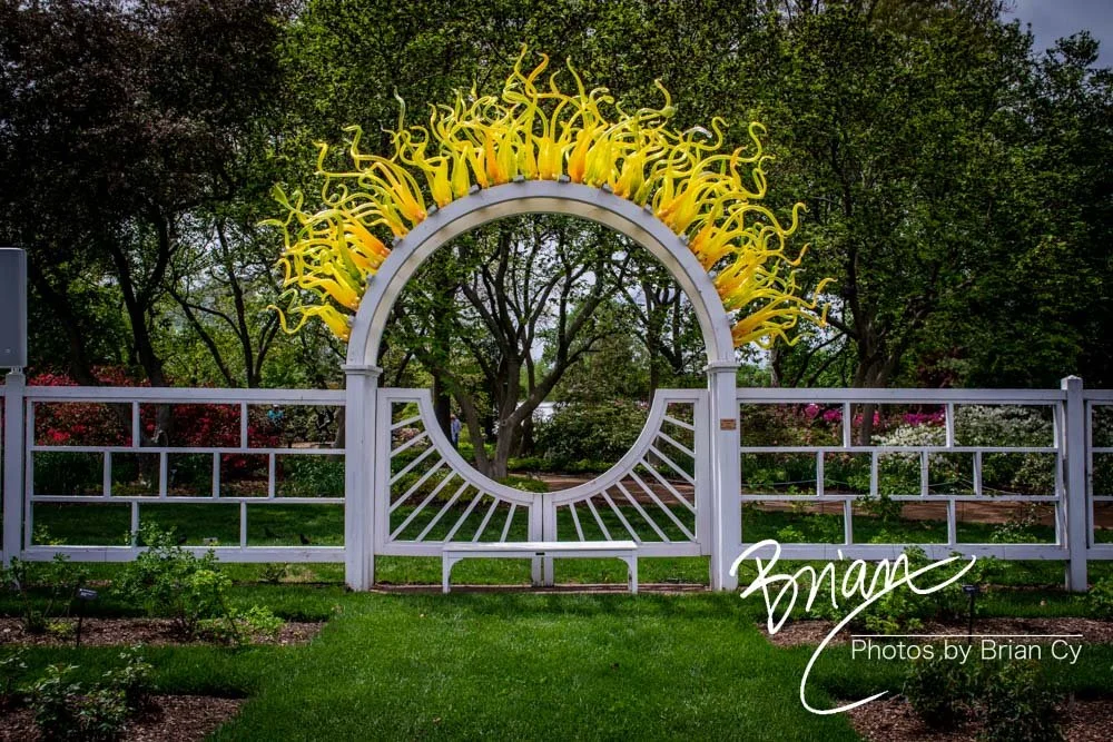 LoRes_WM_20180504_Missouri_Botanical_Edit-0115.jpg