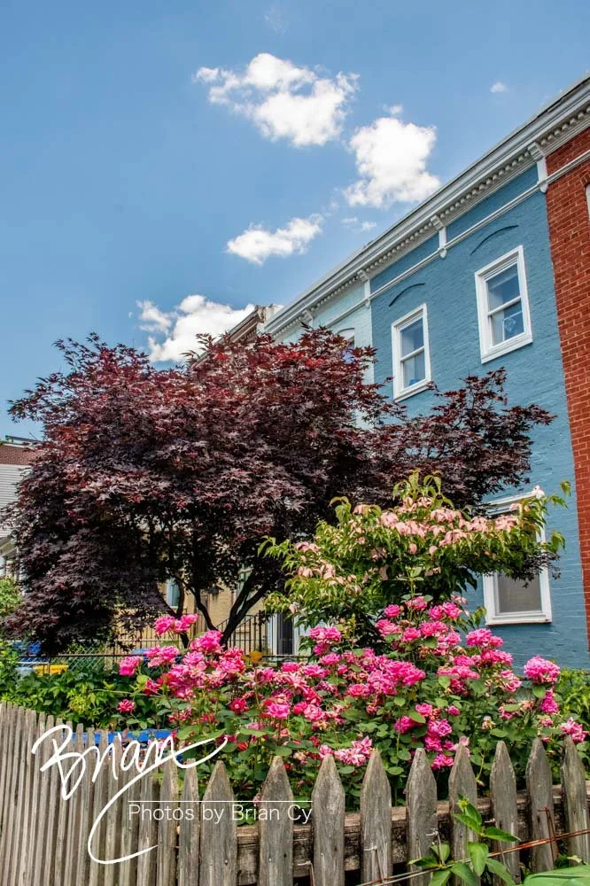LoRes_WM_20220604_Baltimore_Edit-1159.jpg