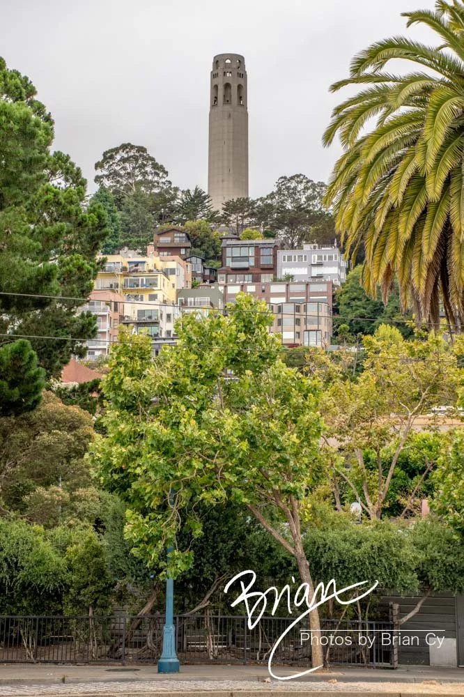 LoRes_WM_20200723_SanFrancisco_Edit-7692.jpg