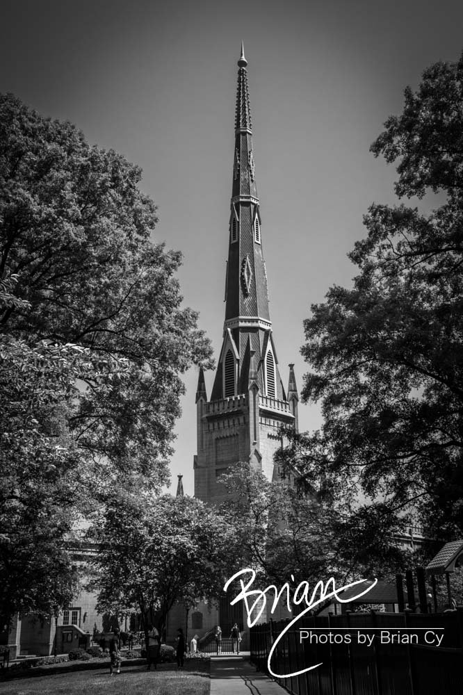 LoRes_WM_20190530_Charlotte_Edit-5621.jpg