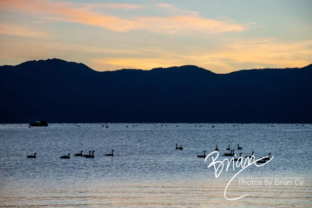 LoRes_WM_20201014_Tahoe_Edit-9213.jpg