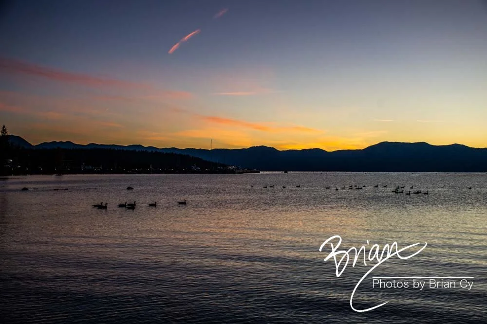 LoRes_WM_20201014_Tahoe_Edit-9163.jpg