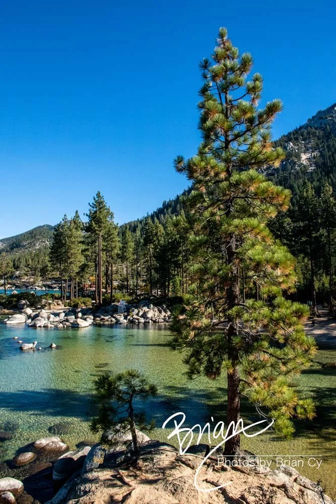 LoRes_WM_20201014_Tahoe_Edit-0800.jpg