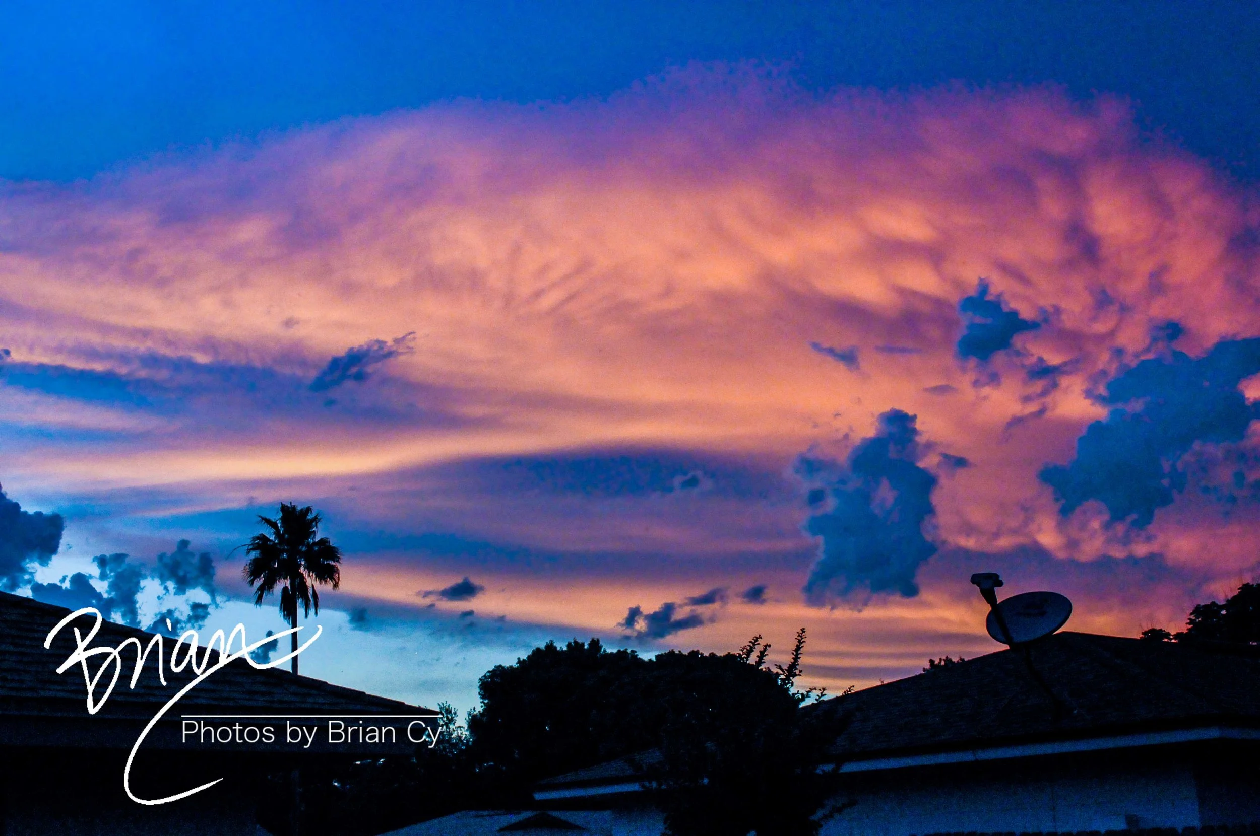 LoRes_WM_20110416_Ohana_Edit-2491.jpg