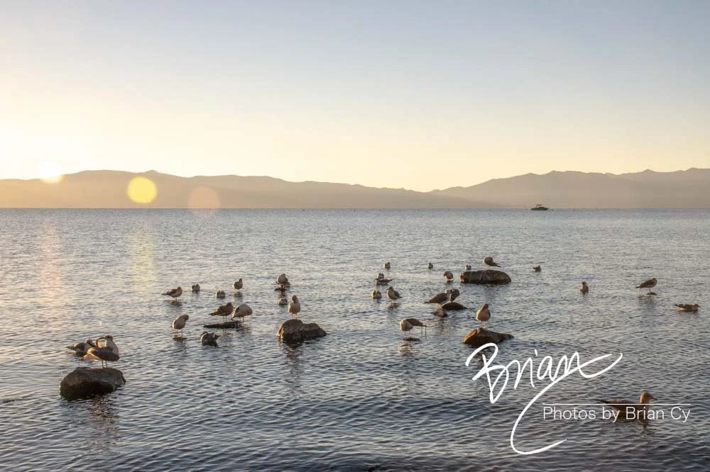 LoRes_WM_20201014_Tahoe_Edit-0133.jpg