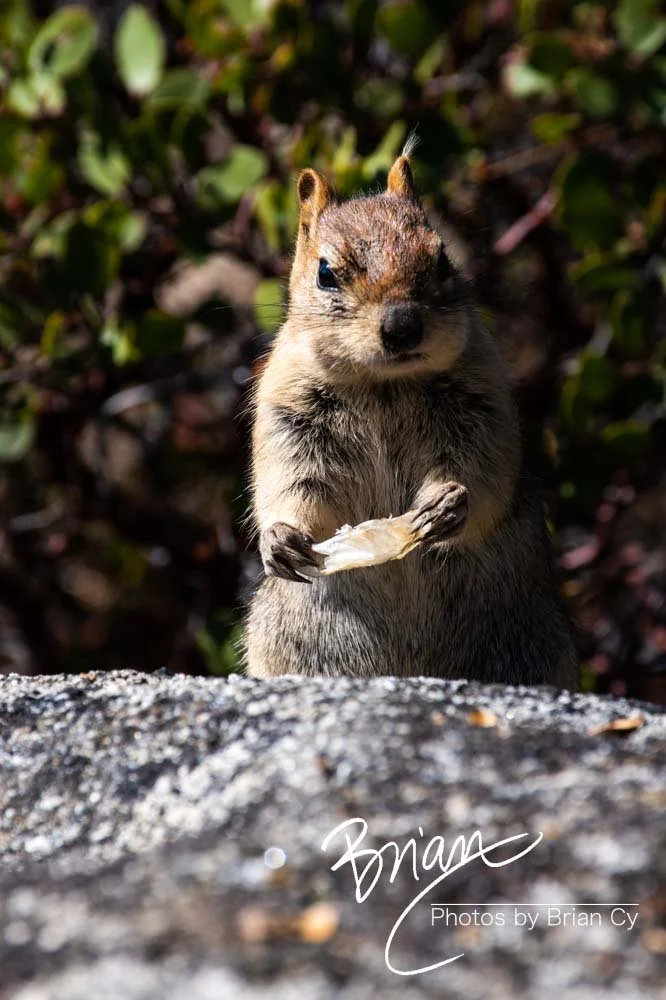 LoRes_WM_20191012_Tahoe_Edit-6138.jpg