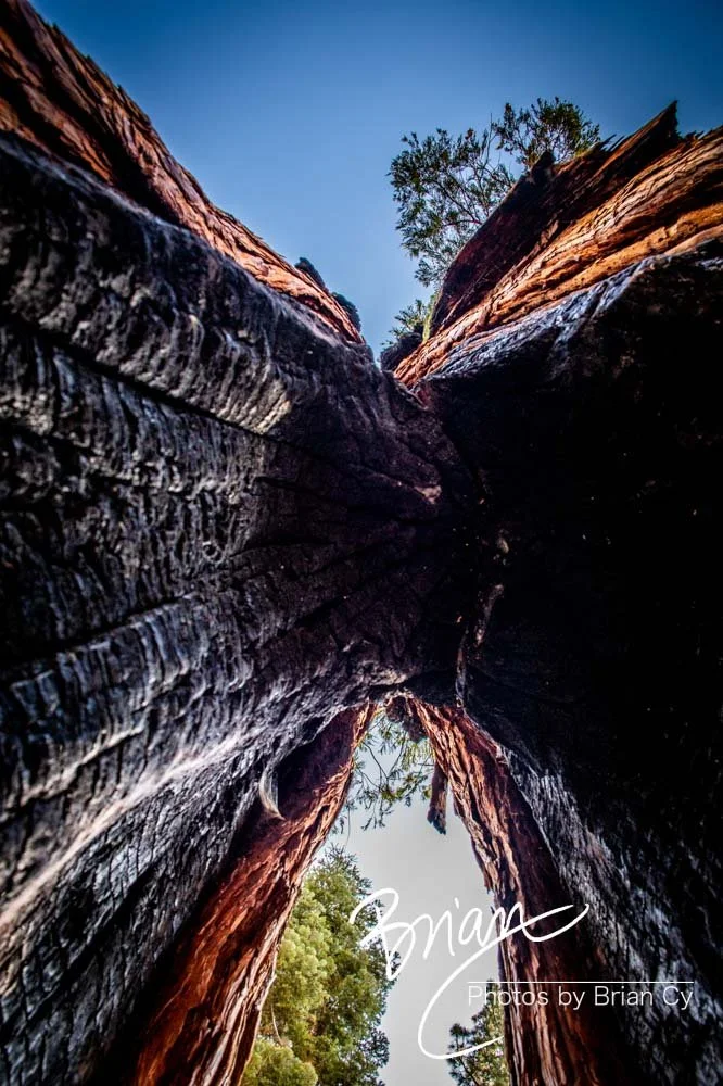 LoRes_WM_20191012_Tahoe_Edit-6275.jpg