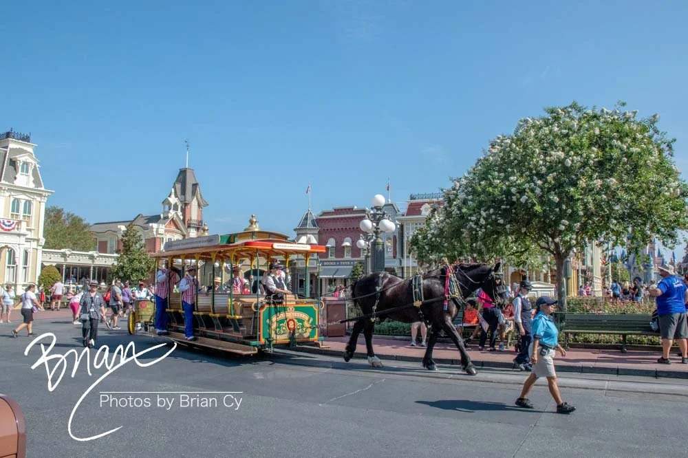 LoRes_WM_20230704_TheFam_Disney_Edit-6589.jpg