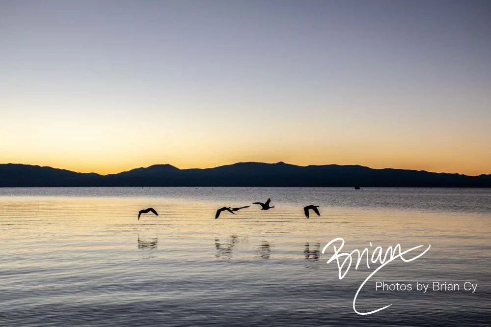 LoRes_WM_20201014_Tahoe_Edit-9290.jpg
