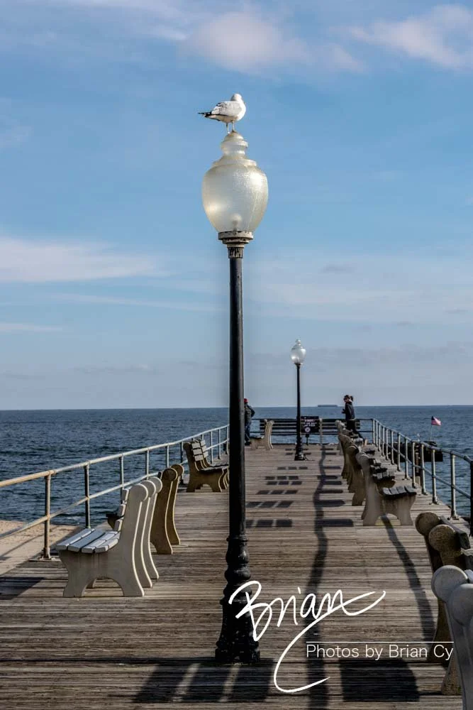 LoRes_WM_20181201_Asbury_ParkB_Edit-0208.jpg