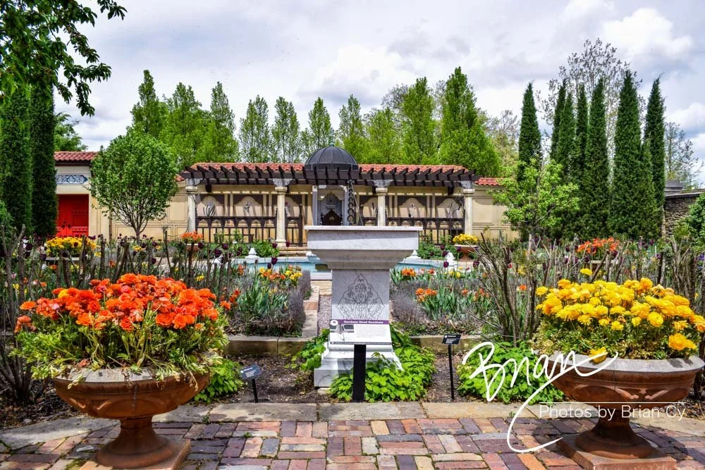 LoRes_WM_20180504_Missouri_Botanical_Edit-0050.jpg