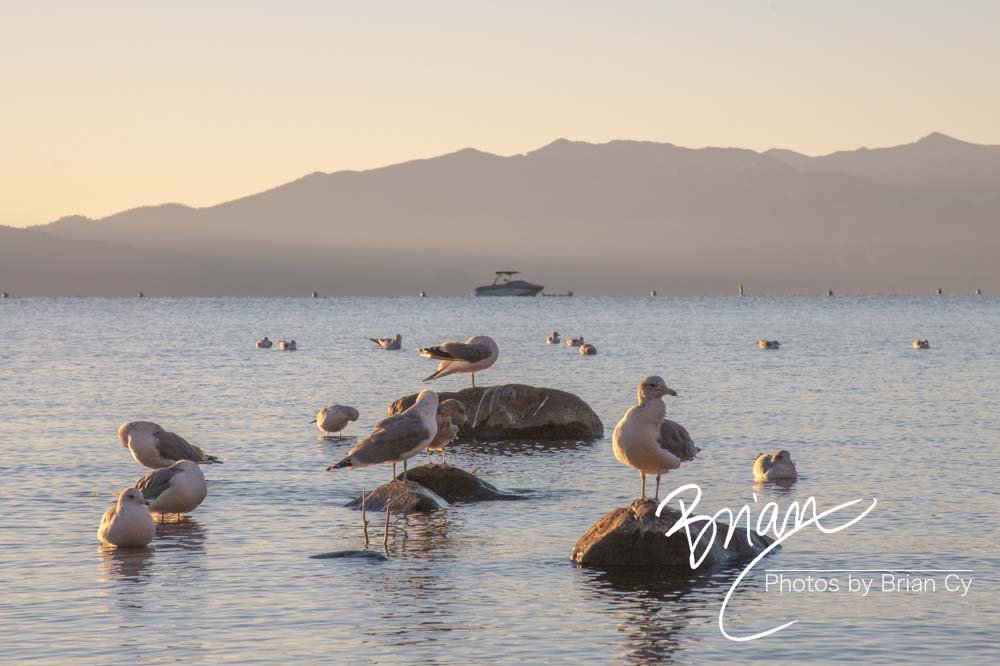LoRes_WM_20201014_Tahoe_Edit-9879.jpg
