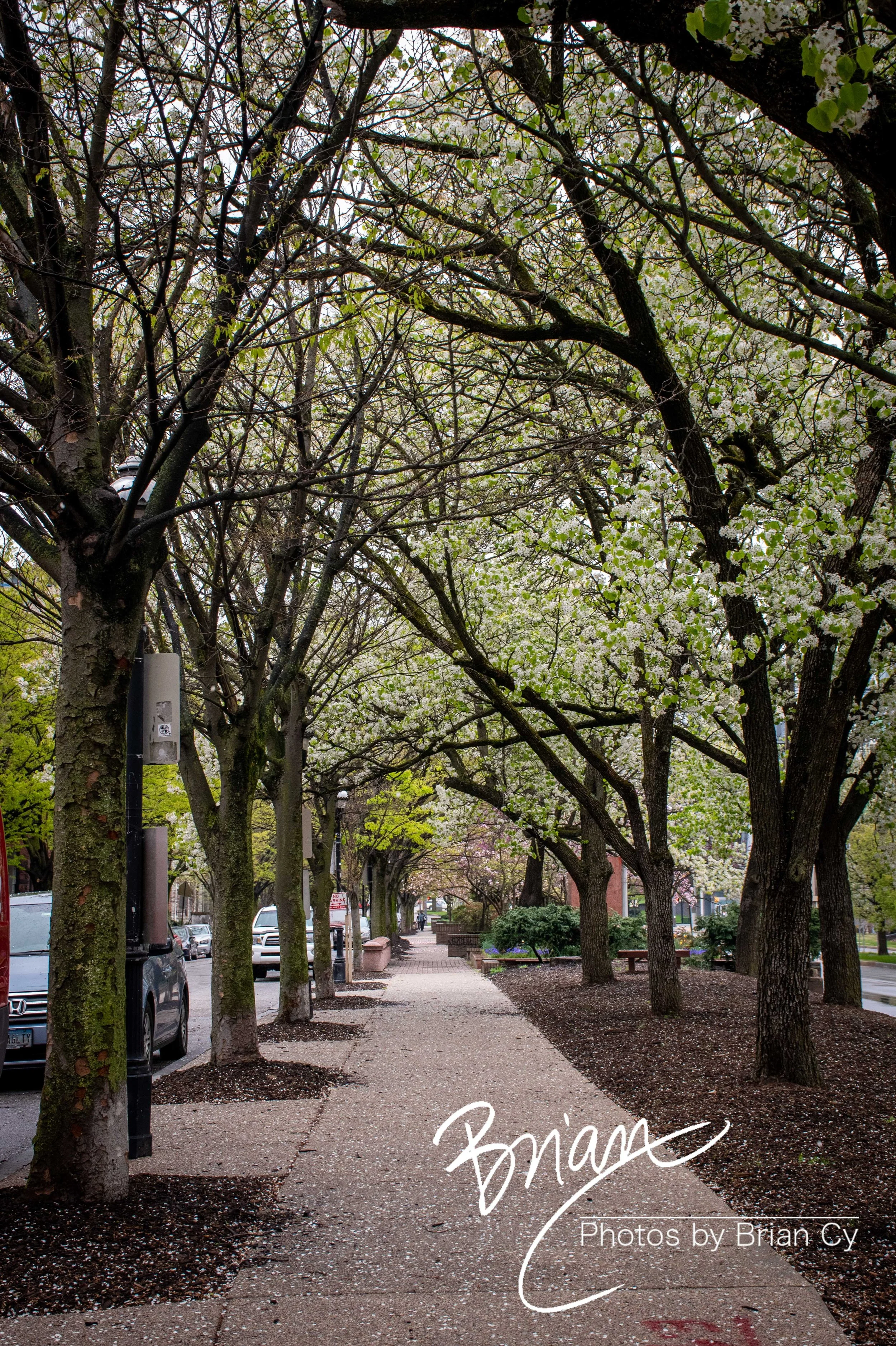 LoRes_WM_20210409_Baltimore_Edit-7237.jpg
