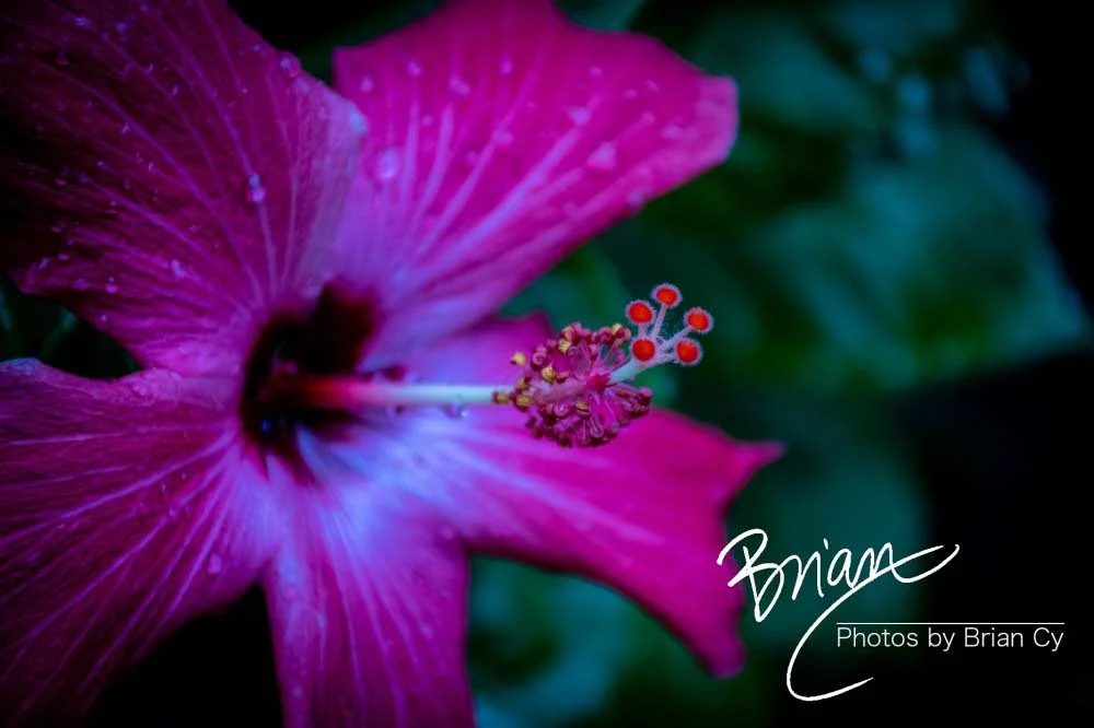 LoRes_WM_20191107_SanAntonio_Edit-1041.jpg