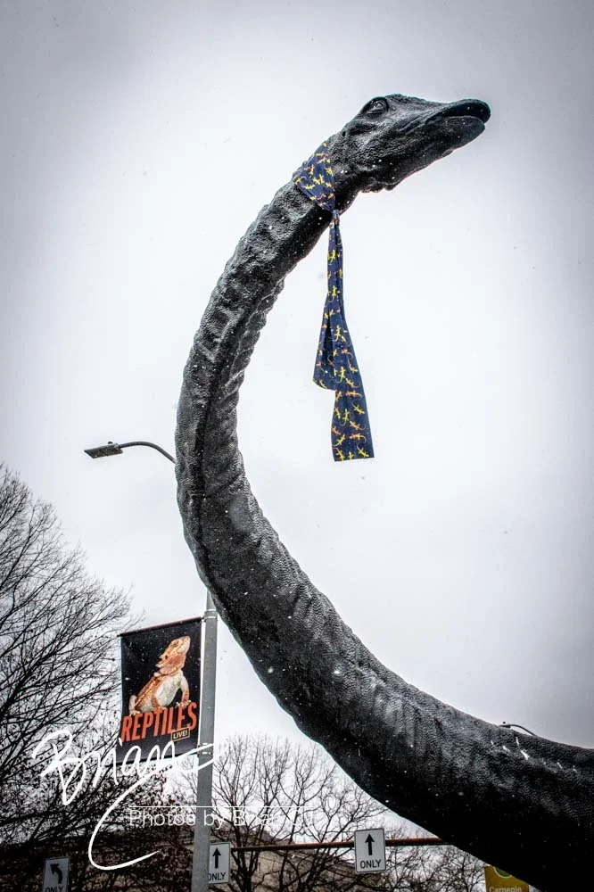 LoRes_WM_20190126_Pittsburgh_Edit-3501.jpg