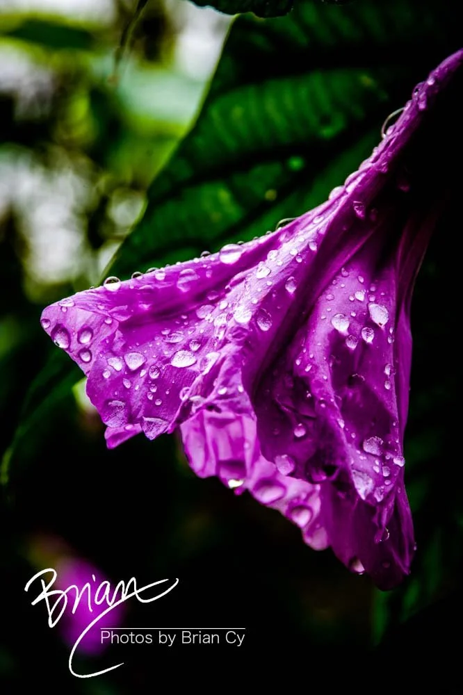 LoRes_WM_20191107_SanAntonio_Edit-0314.jpg
