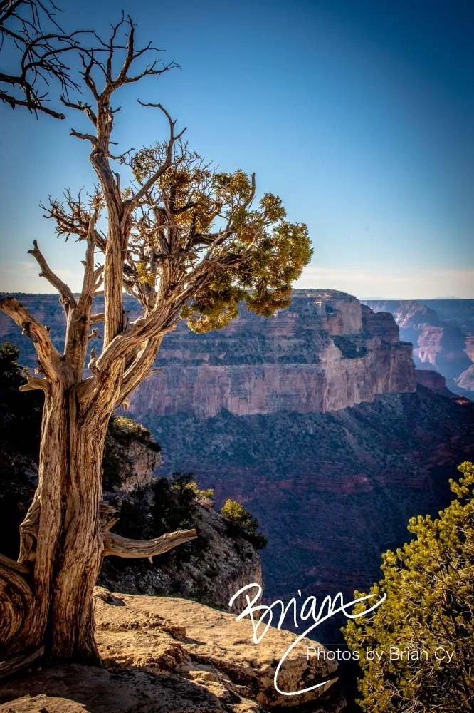 LoRes_WM_20191112_GrandCanyon_Edit-8047.jpg