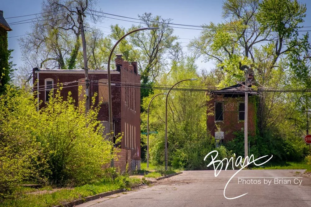 LoRes_WM_20240414_StLouis_Edit-5228.jpg
