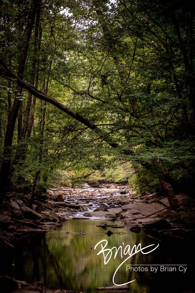 LoRes_WM_20191005_Rottenwood_Edit-2819.jpg