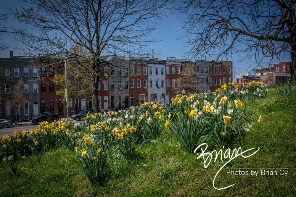 LoRes_WM_20210408_Baltimore_Edit-5704.jpg