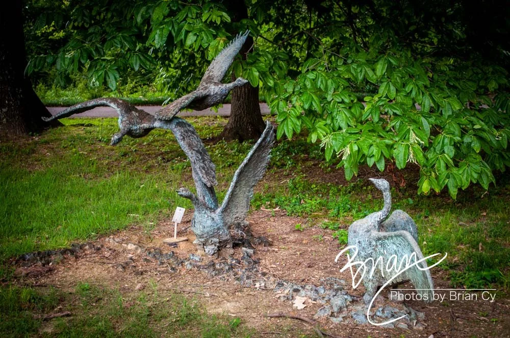 LoRes_WM_20180620_Memphis_Botanical_Gardens_Edit-9951.jpg